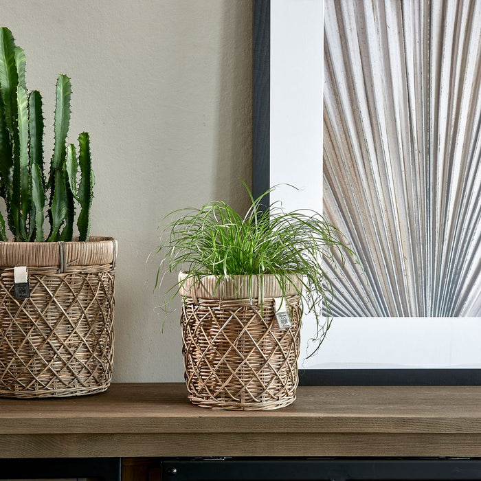 Rustic Rattan Diamond Weave Planter S - Betten Ritter Living