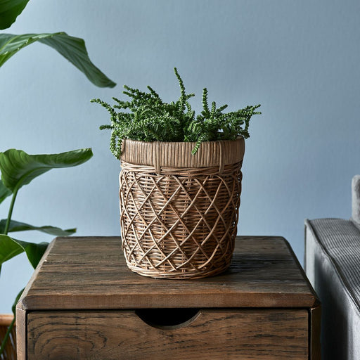 Rustic Rattan Diamond Weave Planter S - Betten Ritter Living