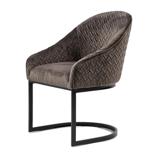 Lincoln Dining Armchair, velvet III, anthracite - Betten Ritter Living