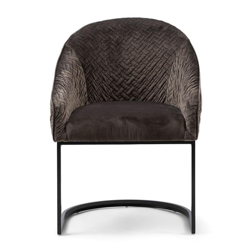 Lincoln Dining Armchair, velvet III, anthracite - Betten Ritter Living